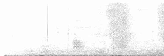 Common Chaffinch - ML583075901