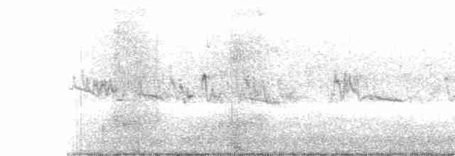 Graumantel-Brillenvogel - ML583085101