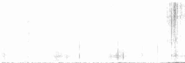 Charlatán Ocelado - ML583107601