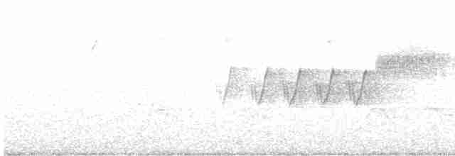 Cerulean Warbler - ML583151011