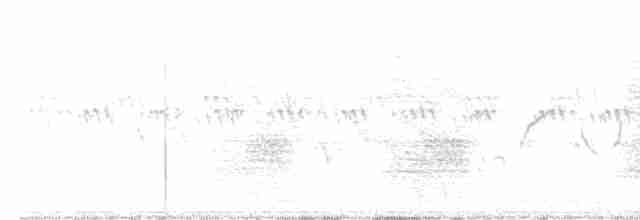 furuskrike (diademata gr.) - ML583168241