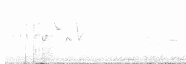 Canada Warbler - ML583176971