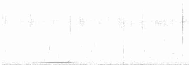 holub bělohrdlý - ML583181191