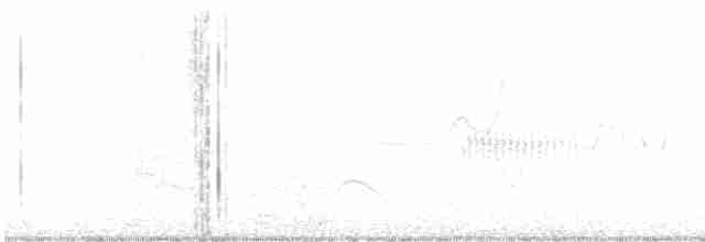 holub pruhoocasý - ML583206841