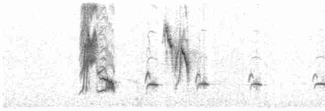 Zozo paparzuria (alpestris) - ML583216661