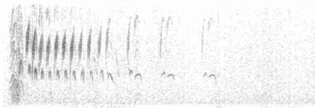 Zozo paparzuria (alpestris) - ML583217691