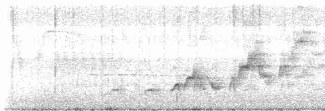 Дрізд-короткодзьоб Cвенсона - ML583219401