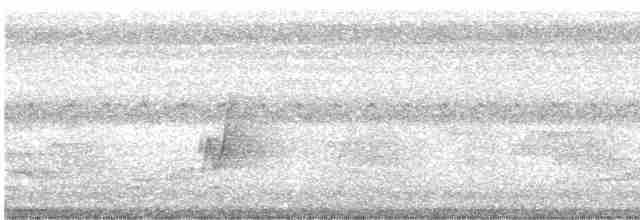 holub bledočelý - ML583225081