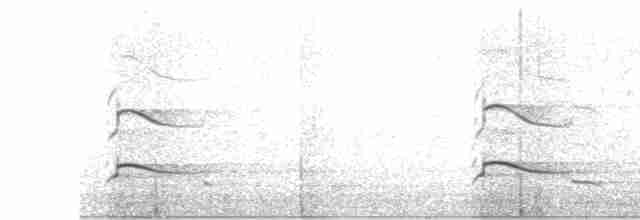 Полосатая агуйла - ML583225171