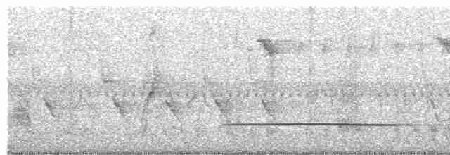 Little Tinamou - ML583238161