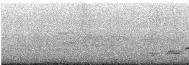 Дрізд-короткодзьоб Cвенсона - ML583316131