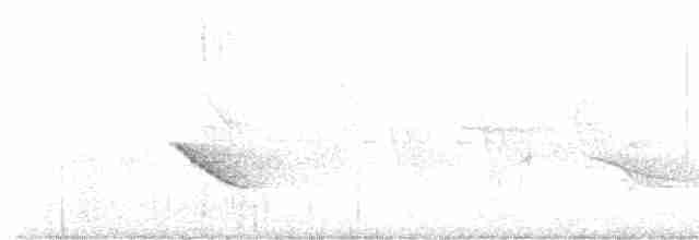 Бурый соловьиный дрозд - ML583317501