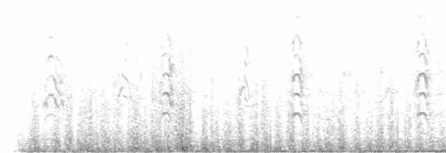 Trauerseeschwalbe - ML583318231