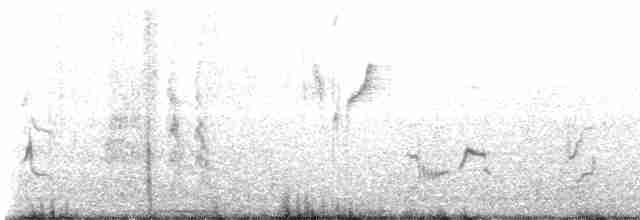 Gray Catbird - ML583324361