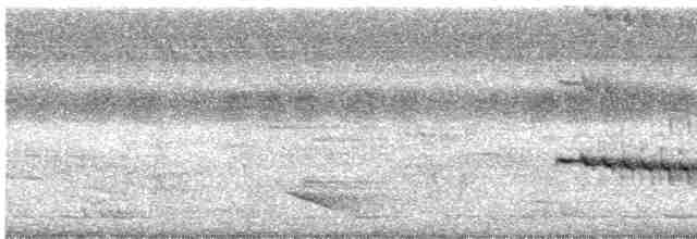 White-throated Kingfisher - ML583444241