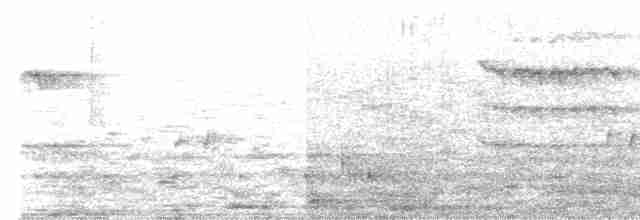 strakapoud hnědohlavý - ML583446551
