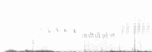 雙眉葦鶯 - ML583516201