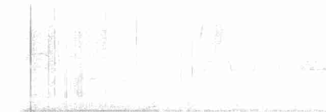 Гималайский короткокрыл - ML583540521