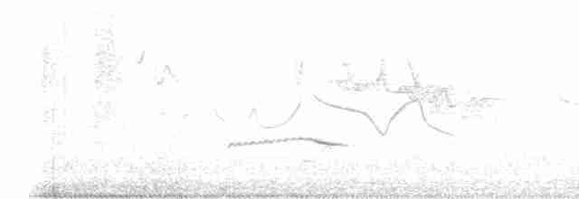 Uzun Gagalı Ardıç - ML583541441