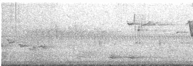 Fish Crow - ML583552141