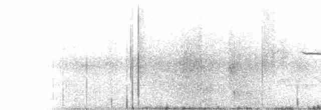 Karolina Çıtkuşu - ML583555161