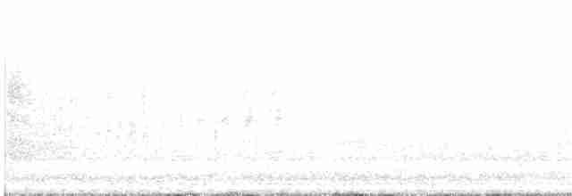 Белая лазоревка - ML583588291