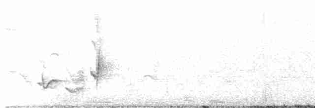 Gray Catbird - ML583593821