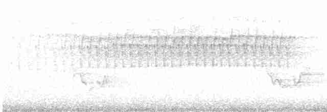 Paruline vermivore - ML583618391