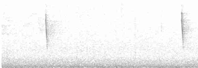 Paruline vermivore - ML583618631