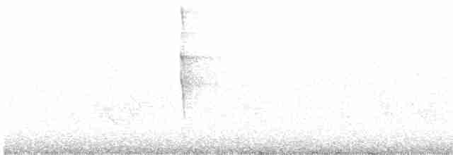 Paruline vermivore - ML583619041