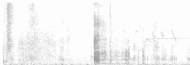 啄木鳥科 - ML583672101