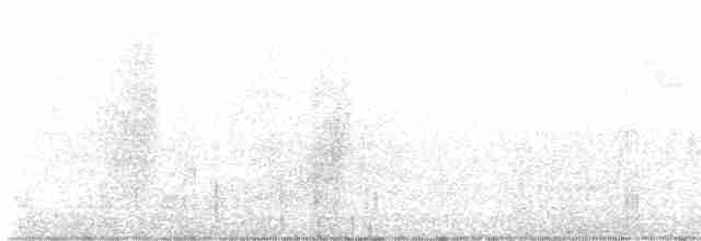 Pine Warbler - ML583674041