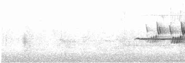 Черногорлая хвойница - ML583689891