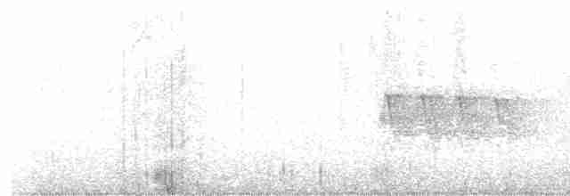Дроздовый певун - ML583710301