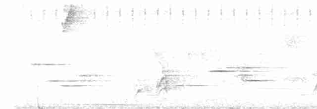Clorofonia Coroniazul - ML583725181