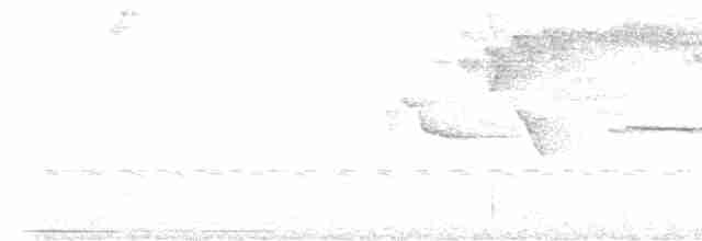 White-naped Brushfinch (White-naped) - ML583725451