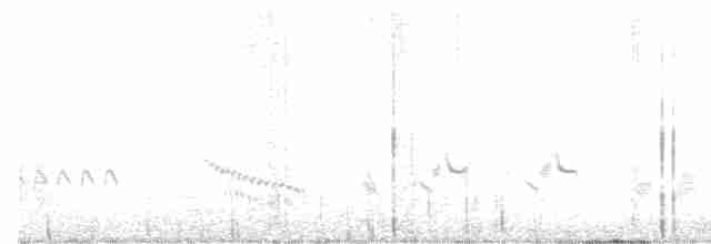 Кактусовый пересмешник - ML583733961