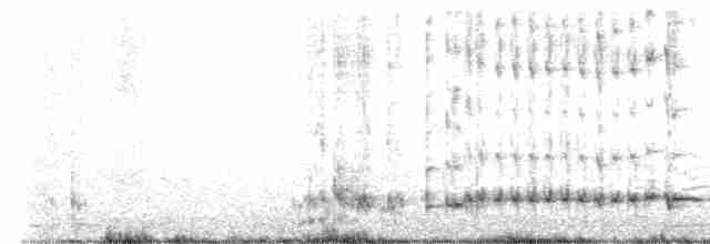 Розовоклювый серёжкоух - ML583747641