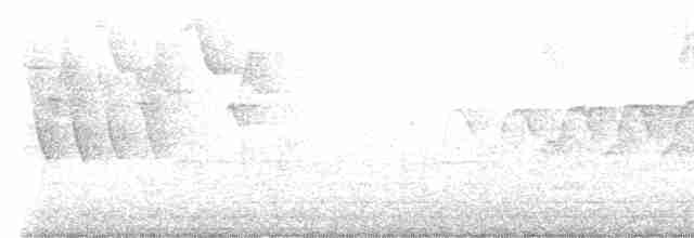 Черногорлая хвойница - ML583765171
