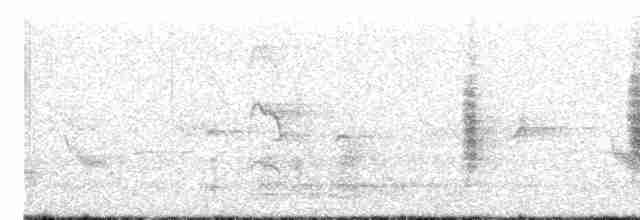 Скрытный ложнокрапивник - ML583789961