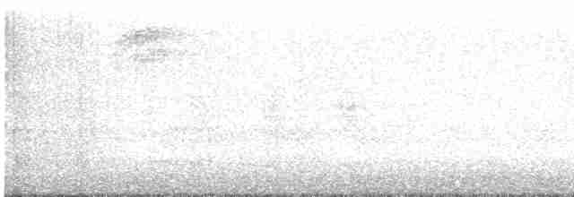Tasmanerddrossel - ML583802941