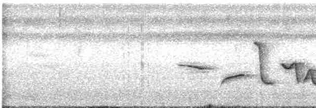 Spot-breasted Wren - ML583804181