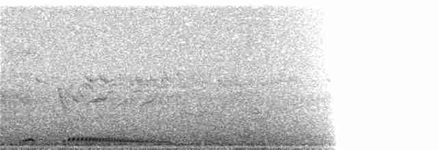 hrdlička kropenatá - ML58382351