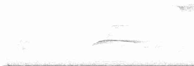 Пуэрториканский миарх - ML583829691