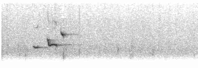 Скриточуб гімалайський - ML583841201