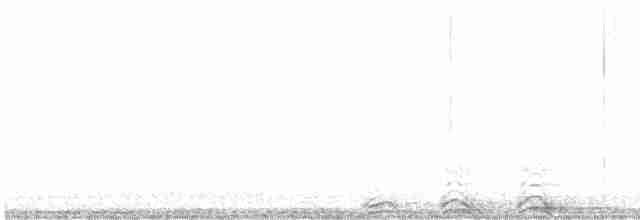 Chouette rayée - ML583856901