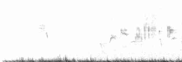 Moltoni's Warbler - ML583900071