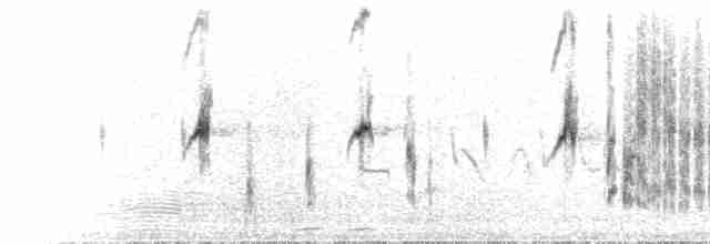 Red-tailed Shrike - ML583901711