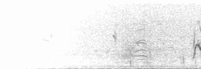 Red-tailed Shrike - ML583902071