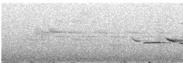 Гаїчка-пухляк звичайна [група montanus] - ML583925691